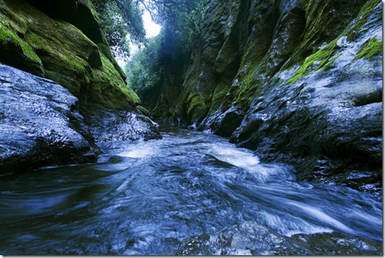 Narrows