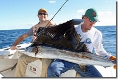 Sailfish