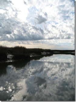Charleston Marsh