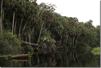 Myakka_River
