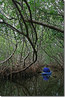 Weedon_Island