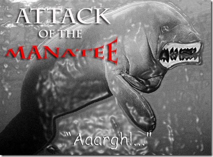 manatee copy