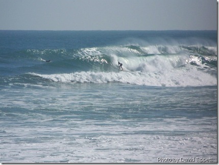 Surf