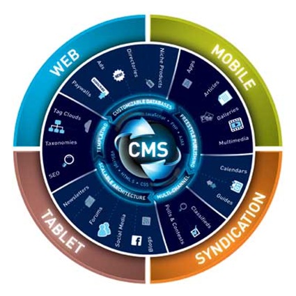 CMS_Infograph_Web