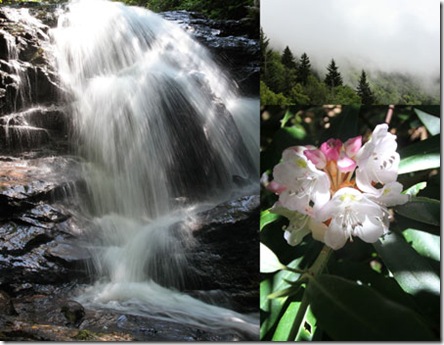 Smoky_Mountains