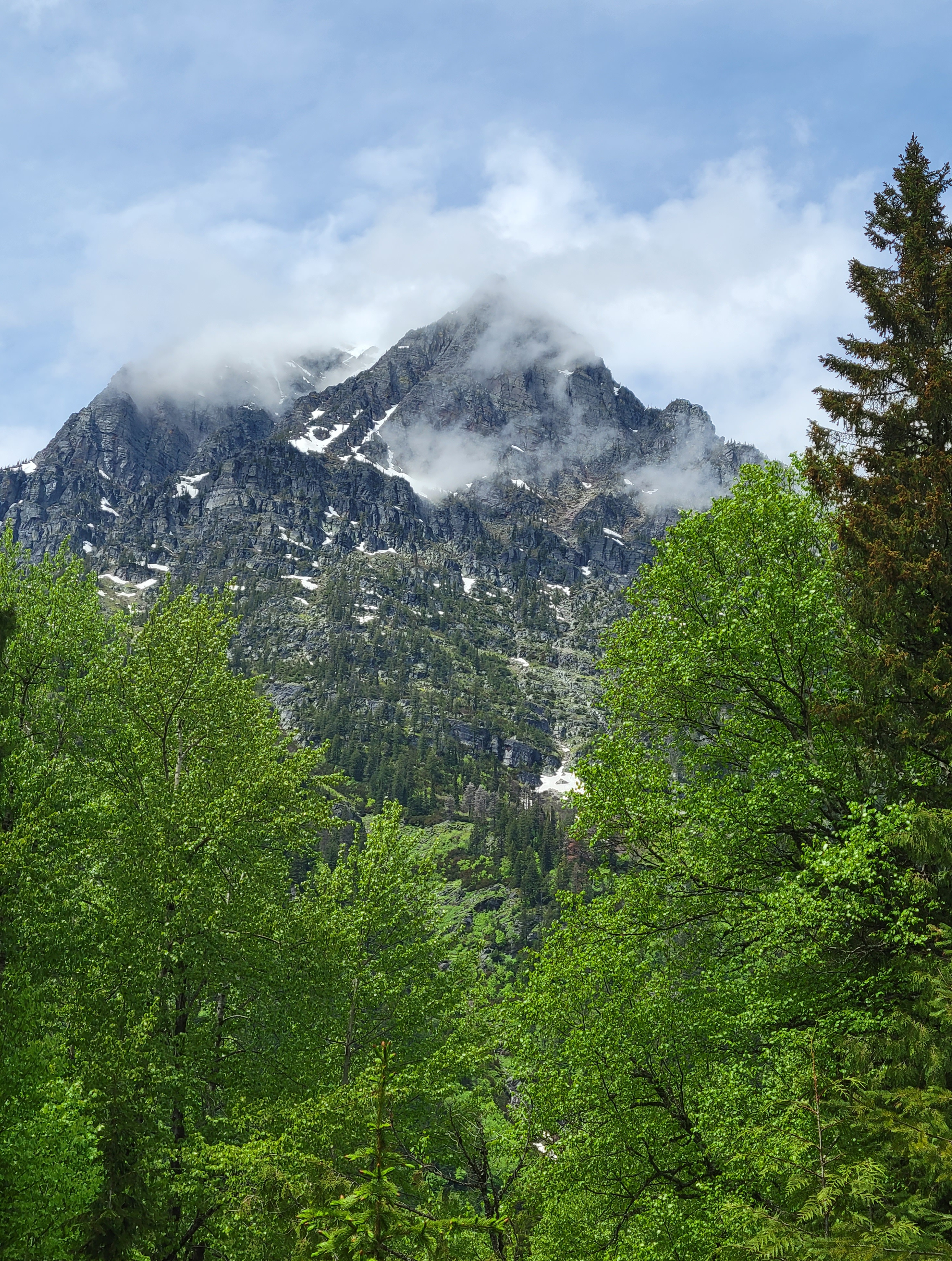 Montana