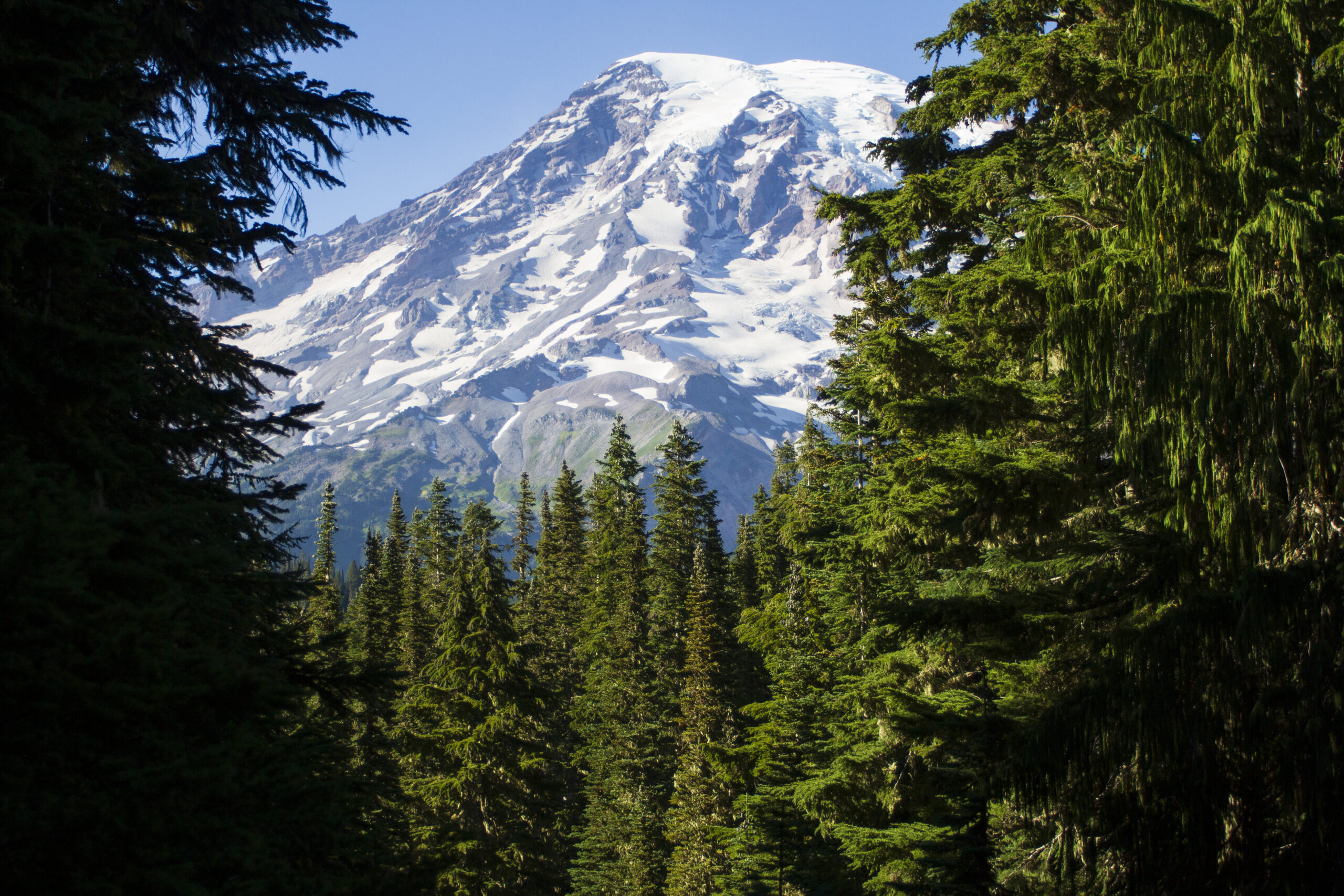 Emmons Glacier