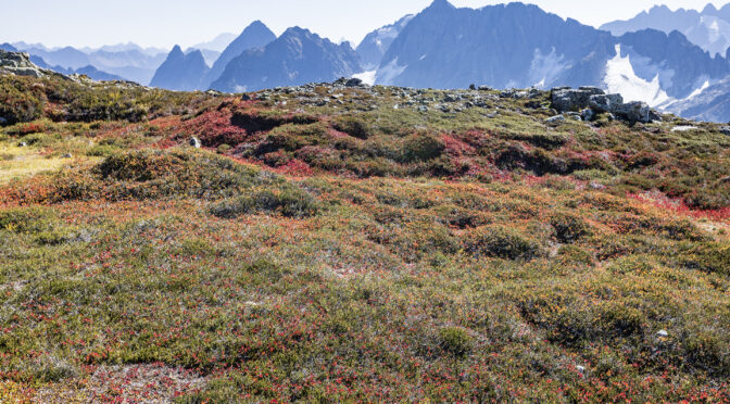Exploring the North Cascades: Fall Hike Highlights